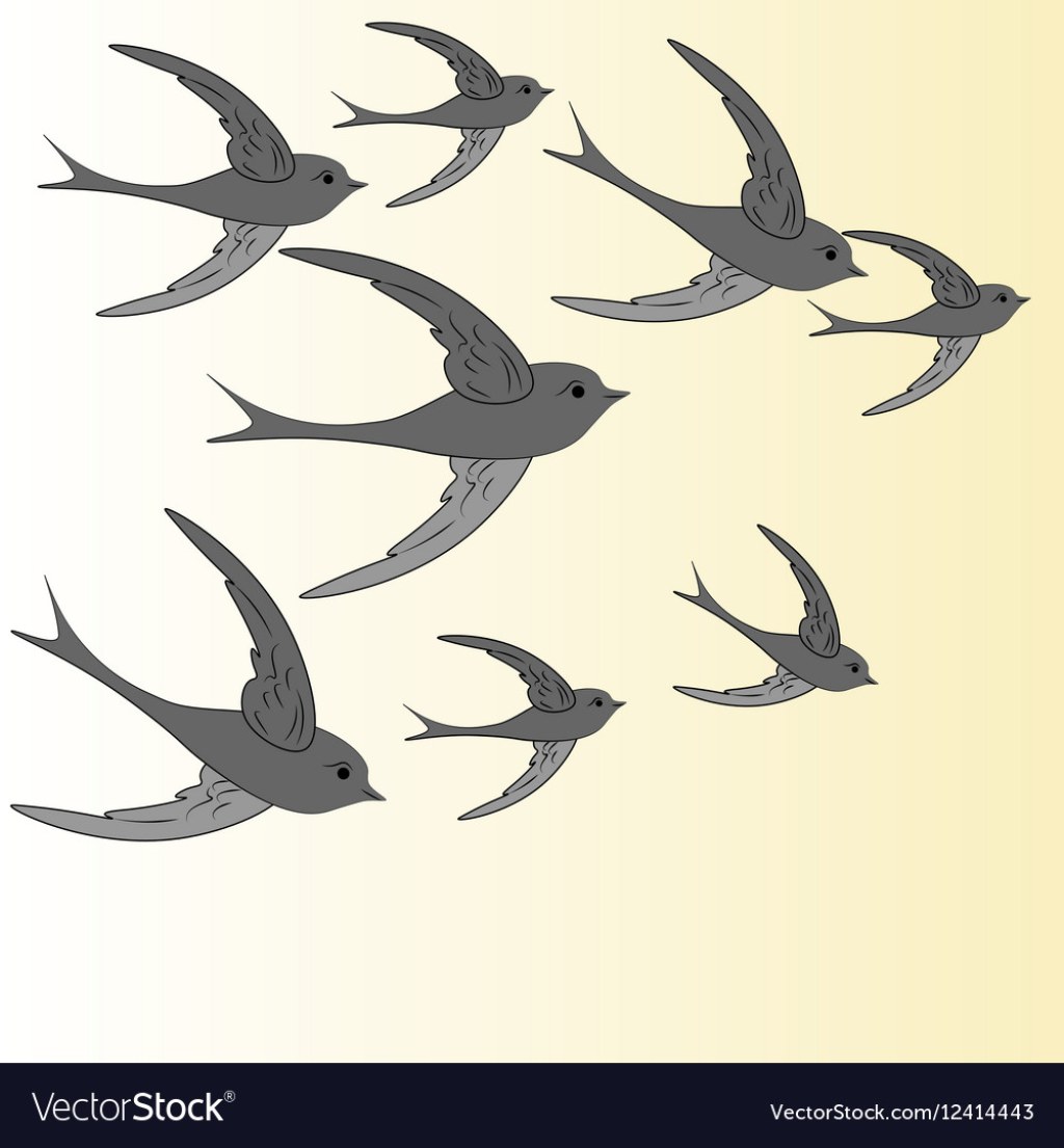 Picture of: Abstract birds flying Royalty Free Vector Image