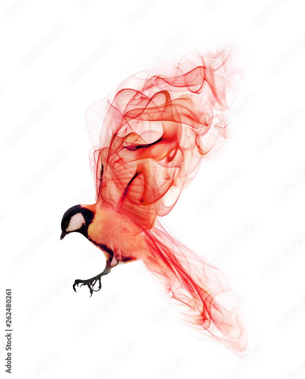Picture of: flying abstract red bird from smoke isolated on white Stock-Foto