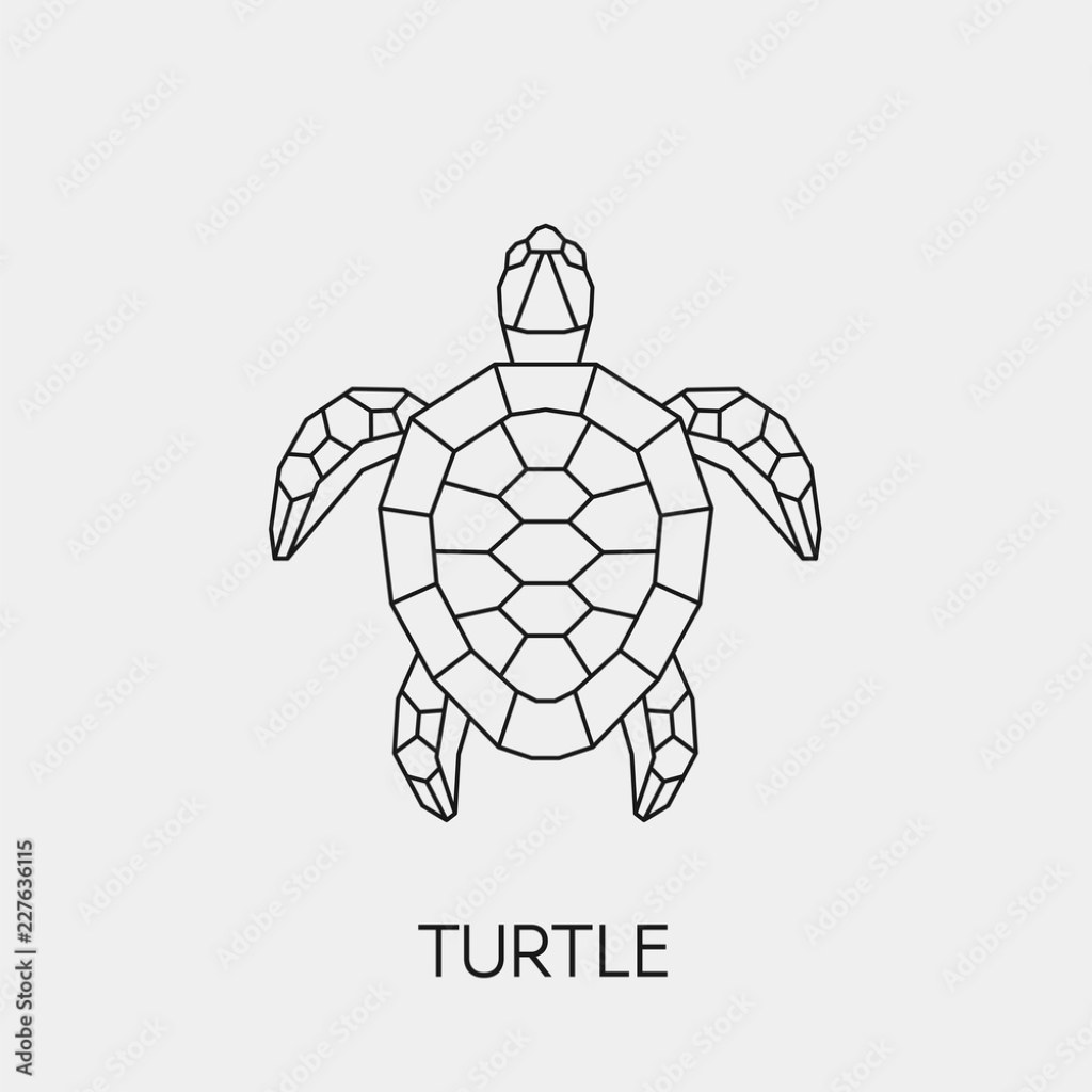 Picture of: Geometric turtle. Polygonal linear abstract animal